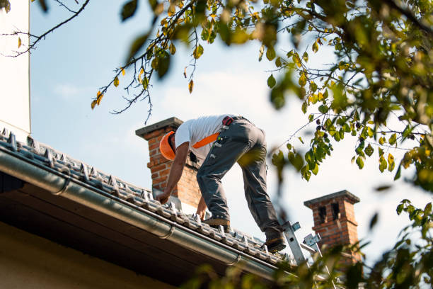 Best Commercial Roofing Services  in Coldwater, MI