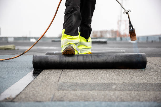 Best Gutter Installation and Repair  in Coldwater, MI