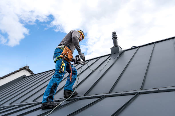 Best Roof Installation  in Coldwater, MI